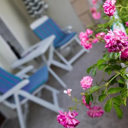 Lapad House 3*